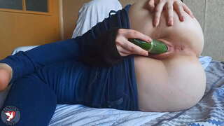 BÉO, Đáng yêu chim bồ câu solo với dưa chuột