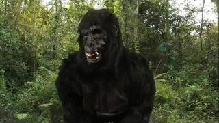 ���ிங் டாங்&amp;#039;s 40oz துள்ளல்!