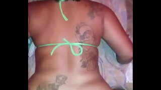 Пикыш реболандо Путинья