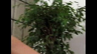 ���ેટ્રો - લેસ્બિયન સેક્સ - સીન 8 - ઉતારા 2