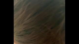 Myanmar yn y cartref yn gwneud gall iau zaw byw yn mandalay